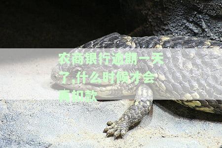 农商银行晚还款一天：有何影响？是否上征信？