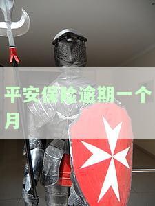 平安保险逾期一个月会有什么后果？包括罚款、保费增加以及可能的影响。同时，也会详细回答平安保险逾期一个月后的费用支付方式和是否可以退保的问题。