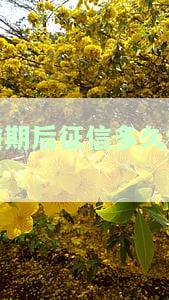 现在逾期还完征信多久恢复？恢复正常时间及更新机制解析