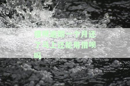 借呗逾期一个月后还款，能否再次借款？