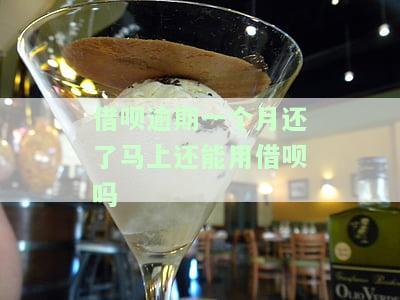 借呗逾期一个月后还款，能否再次借款？安全性及操作指南