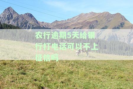 农业银行逾期4个月，银行电话称将上门催收还款