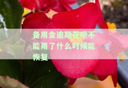 备用金逾期了花呗不能用了，何时能恢复使用及额度？逾期多久会解除限制？