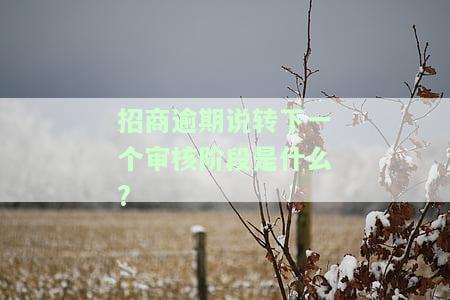 招商逾期降额能否恢复？知乎网友分享经验与建议