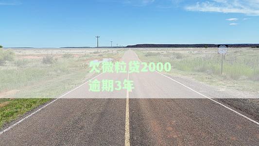 微粒贷30000逾期2年：欠款及解决方案