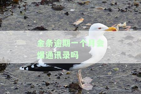 金条逾期一个月，是否会上征信？可能的后果是什么？会被起诉吗？