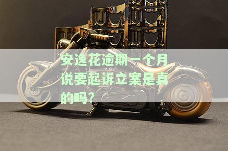 安逸花逾期一年多收到立案通知是否会坐牢？