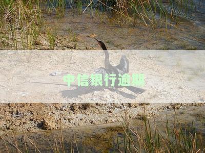 中信银行逾期三个月真的会起诉坐牢吗？信用卡欠款10余万未还8年，逾期多久会被立案？全额还款方案是什么？