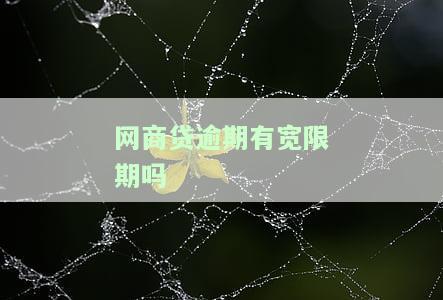网商贷逾期有宽限期吗-网商贷逾期有宽限期吗?网商贷逾期几天会上征信