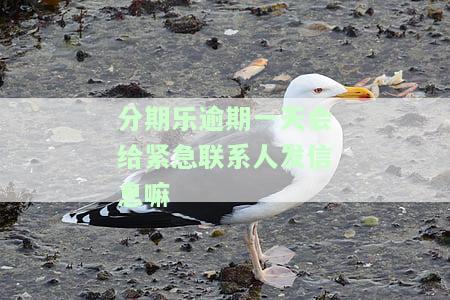 分期乐逾期第二天会否打紧急联系人？逾期两天后还款是否会影响使用及爆通讯录？