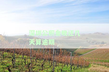 深圳公积金贷款逾期一天怎么办？影响信用记录吗？
