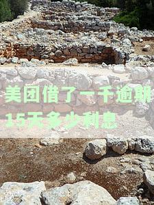 美团借一千逾期15天，利息多少算正常？逾期处理方式解析