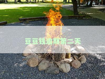 豆豆钱逾期第二天-豆豆钱逾期第二天是机器人打的两个电话,第三天会怎样