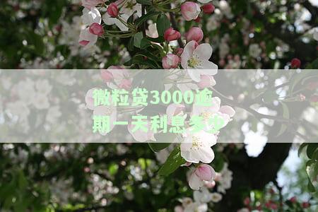 微粒贷3000逾期一天利息多少？逾期可能被起诉
