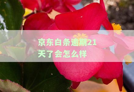 逾期20天了会否上征信？解决办法及影响探讨