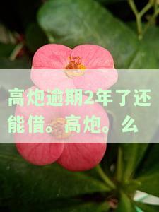 高炮逾期一年还能借款吗？逾期后果及能否再次贷款解析