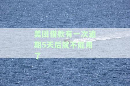 美团借款逾期一天后无法再借，如何解决？