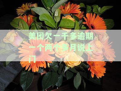 美团欠一千多逾期多久会上门？多个问题解答