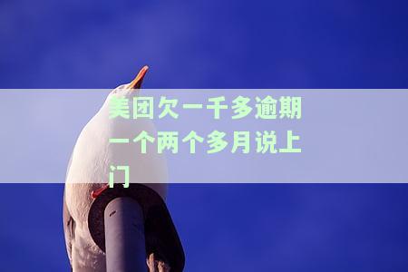 美团欠一千多逾期两月将上门催收，如何应对？