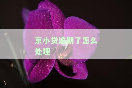 京小贷逾期有宽限期吗？还不了多久会被起诉？无力偿还怎么办？