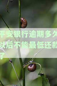 平安银行逾期多久真的会被起诉？答案是可能的。通常情况下，如果借款人逾期90天以上，银行可能会考虑采取法律行动。同时，逾期也会导致最低还款功能无法使用，甚至可能被冻结银行卡或被列入失信黑名单。所以，及时还款非常重要。