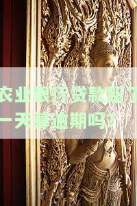 农业银行贷款超一天算逾期吗？影响及解决方法