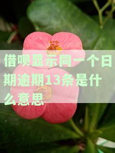 借呗显示同一个日期逾期13条是什么意思