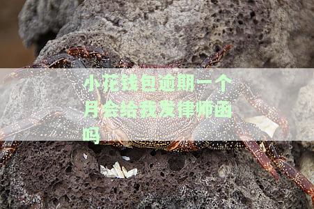 小花钱包逾期一个月会给我发律师函吗-小花钱包逾期一个月会给我发律师函吗是真的吗