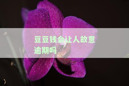豆豆钱逾期后果严重：逾期3天未还，欠款翻倍至12000，全额还款能否再贷？