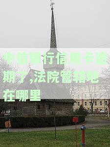 中信信用卡逾期：多久会被起诉？协商政策及电话是多少？逾期一天有何后果？