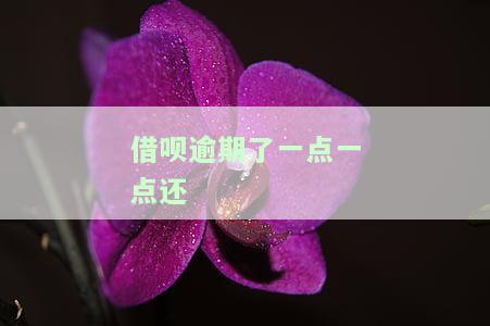 借呗逾期一点一点还有用吗？会起诉、催收吗？