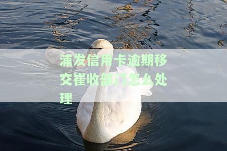 浦发信用卡逾期移交收部门怎么处理-浦发信用卡逾期移交收部门怎么处理的