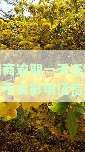 网商贷逾期一天怎么办？不小心逾期一天，了解最新期政策及影响