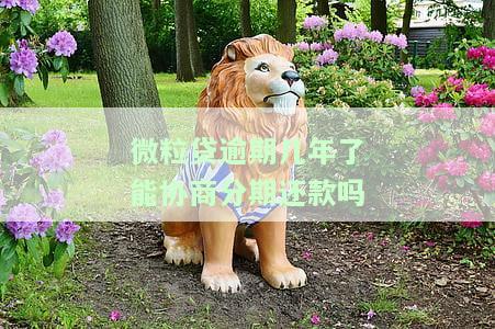 微粒贷逾期很久了怎么办？影响额度与借款？
