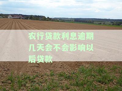 农业银行贷款利息晚还一天会有什么影响？一两天还款是否会影响征信？