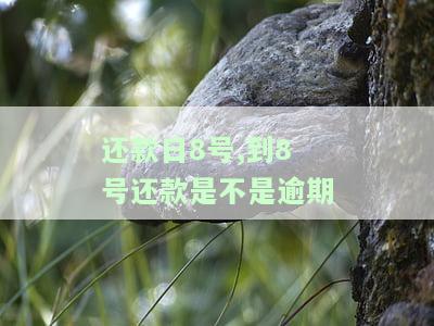 8号还款日10号还算逾期吗？解析还款宽限期与逾期计算方式