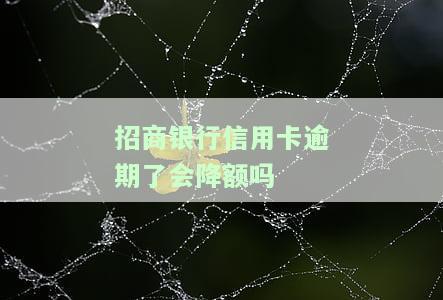 招商银行信用卡逾期：全额还款还是分期？逾期多久上征信？一天逾期影响大吗？逾期严重能否办蓄卡？