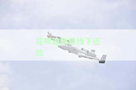 花呗逾期要线下还款-花呗逾期要线下还款怎么办