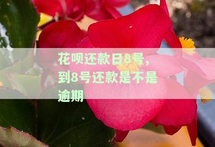 花呗还款日8号，到8号还款算逾期吗？