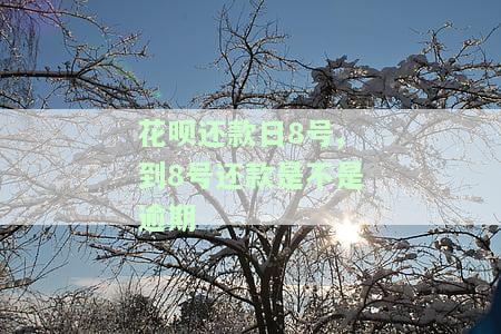 花呗还款日8号是截止到哪一天的账单？