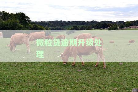 微粒贷逾期升级处理方式及恢复额度时间