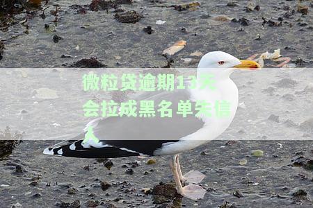 微粒贷逾期13天是否会拉入黑名单？成为失信人员的风险及解决办法