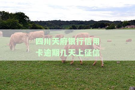 四川天府银行的信用卡如何？可靠吗？好用吗？