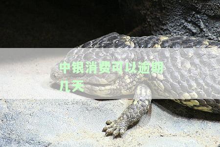 中银消费：逾期还款有宽限期吗？晚还一天会影响征信吗？