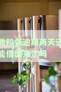 微粒贷逾期两天能否继续借款？安全性和可靠性如何？会对后续借款产生影响吗？