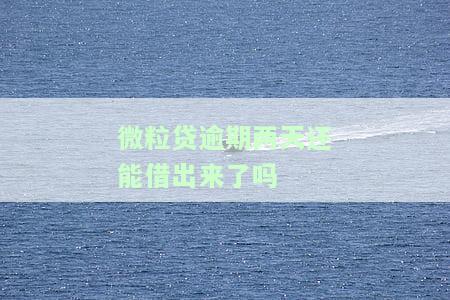 微粒贷逾期两天还能再借吗？影响再次借款的因素是什么？