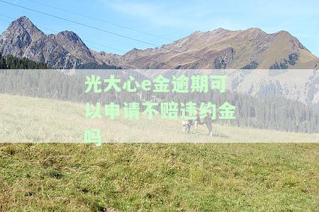 光大心e金逾期能协商吗？了解逾期后果与解决方案