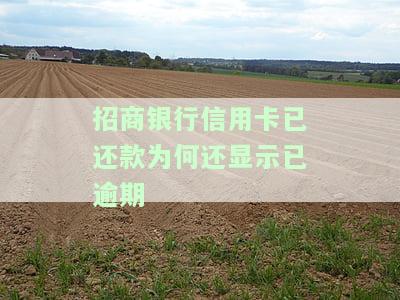 为什么招商信用卡还款后额度未恢复？