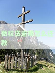 微粒贷逾期怎么还款