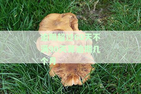 逾期超过60天不满90天算逾期几个月？影响及解决办法